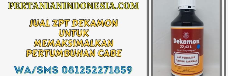 jual,zpt,dekamon,zpt dekamon,pertanian indonesia